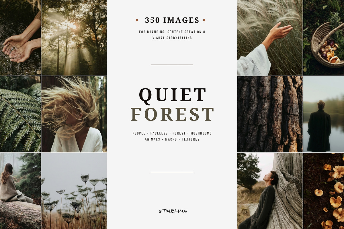 Forest Stock Photos | Moody Woodland, a Nature Photo by Tale.Haus (Photo 1 of 20)
