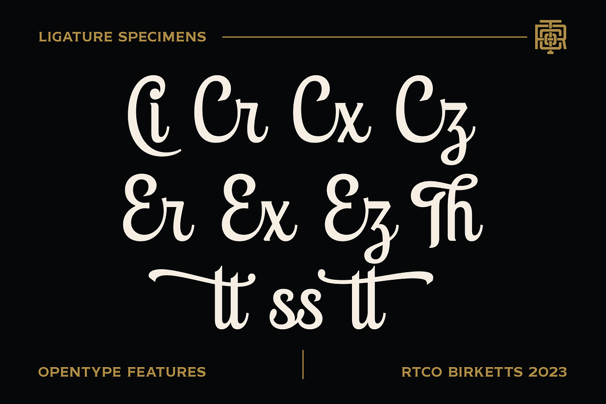 Birketts - Classy Motorcycle Font, a Script Font by Roams Type (Photo 5 of 8)