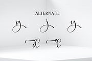 Angle | Script Font, a Handwritten Font by Scratchones (Thumbnail 8 of 9)