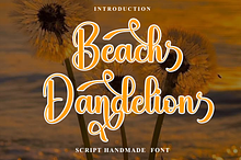 Beach Dandelion