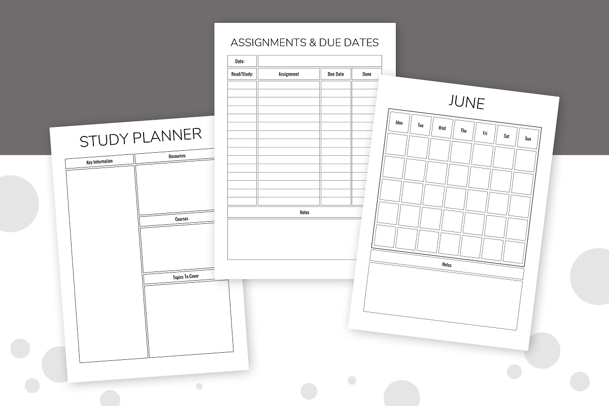 Nursing School Printable Planner, a Templates & Theme by Snapybiz (Photo 4 of 10)