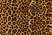 Safari Animals Skin Print Texture, a Graphic by UniqueMe (Thumbnail 7 of 21)