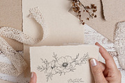 Spring Flowers Line Art, a Decorative Illustration by CaraulanStore (Thumbnail 9 of 9)