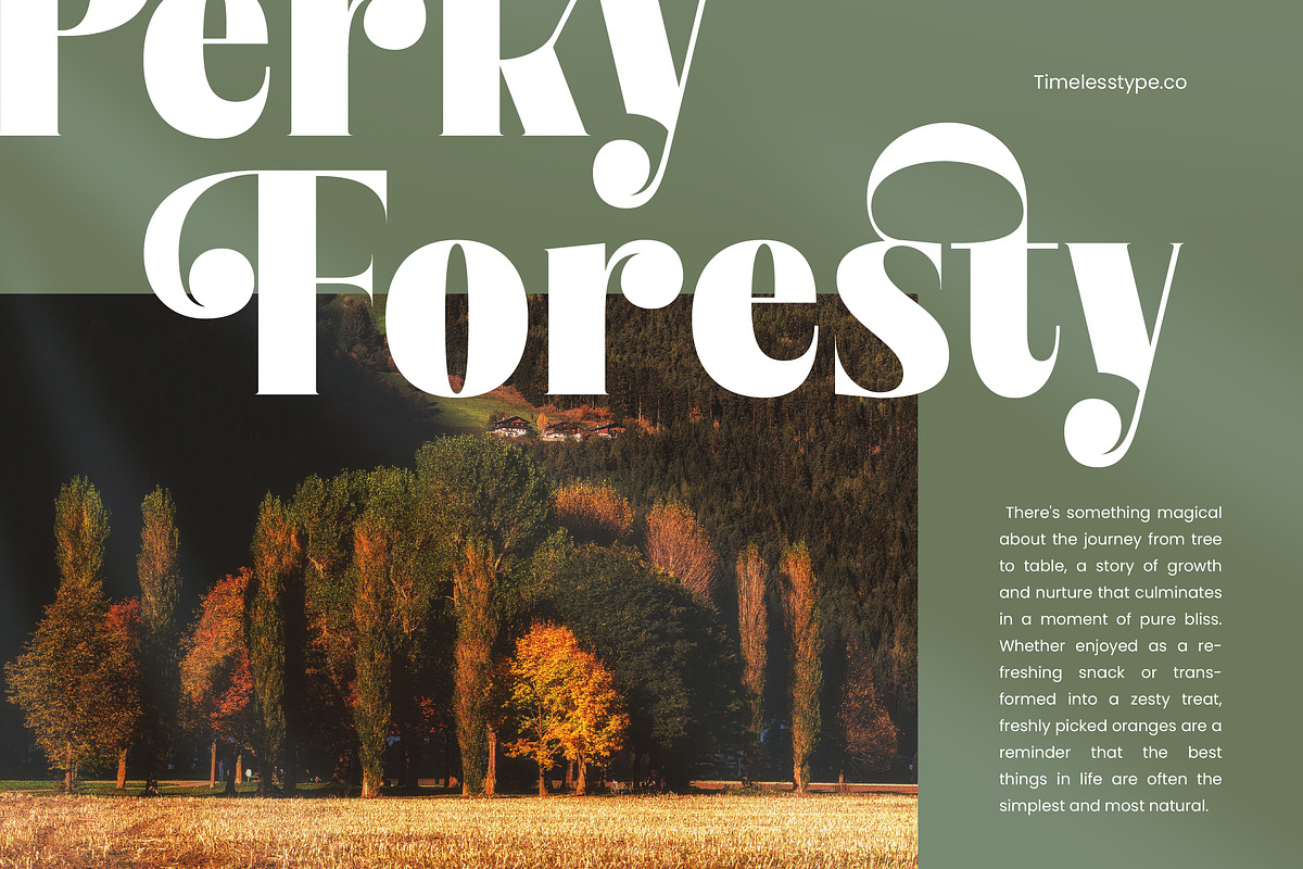 Bistika Modern Display Serif, a Serif Font by timelesstype.co (Photo 5 of 20)
