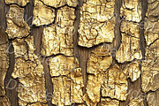 Golden patterns and textures, a Background Graphic by Bubert Art (Thumbnail 8 of 9)