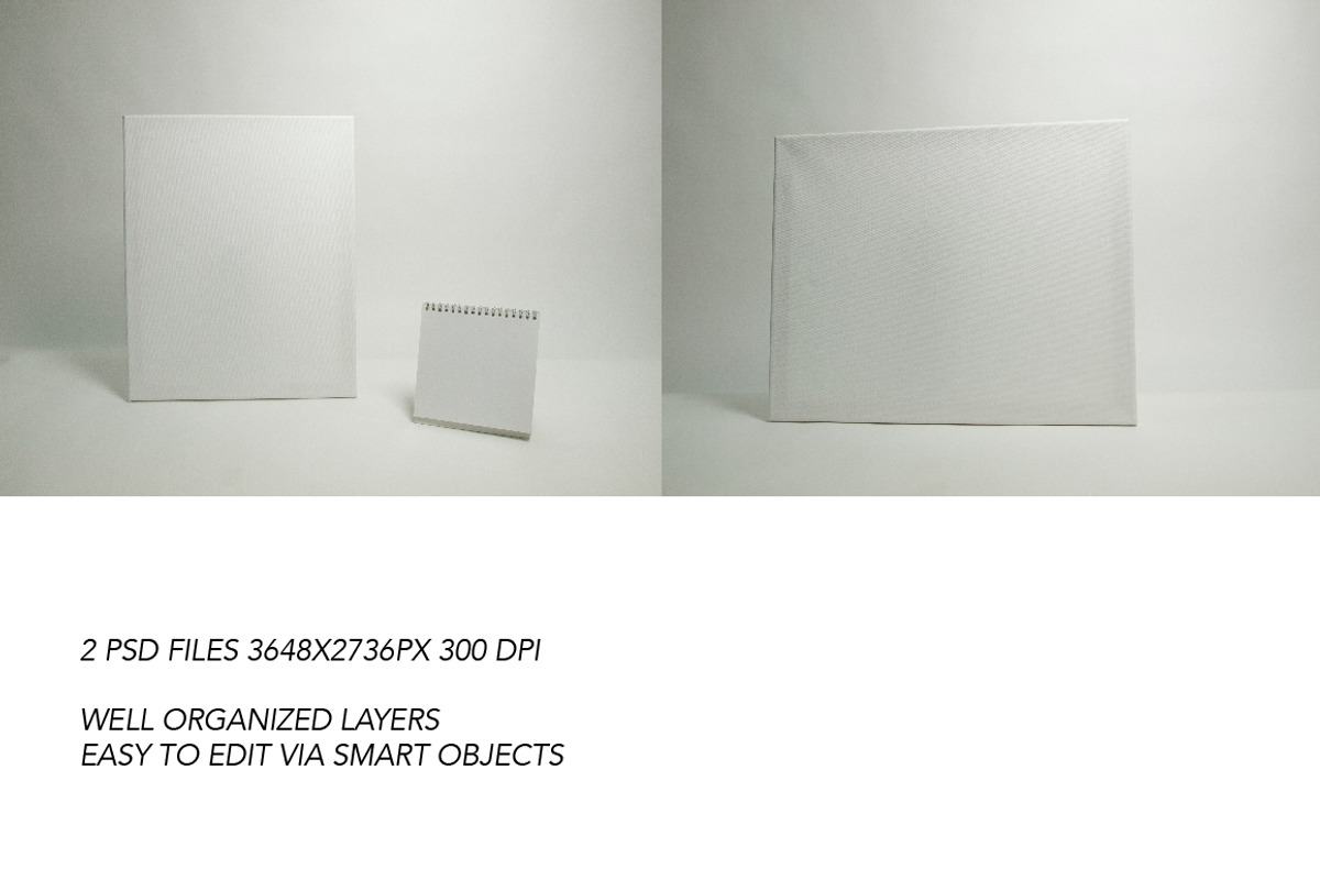 Canvas Mockups, a Print Template by Almazova Dolzhenko (Photo 3 of 7)