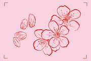 ALMOND LINE ART SET (14+ elements), a Food Illustration by Bonfloret Studio (Thumbnail 3 of 8)