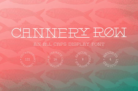 Cannery Row Slab Serif Display Font
