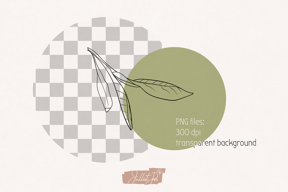 Organic shapes, drawn floral forms, an Object Graphic by JuDesign (Photo 3 of 11)