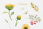 Watercolor Sunflowers Collection, a Seasonal Illustration by Navenzeles (Thumbnail 7 of 12)