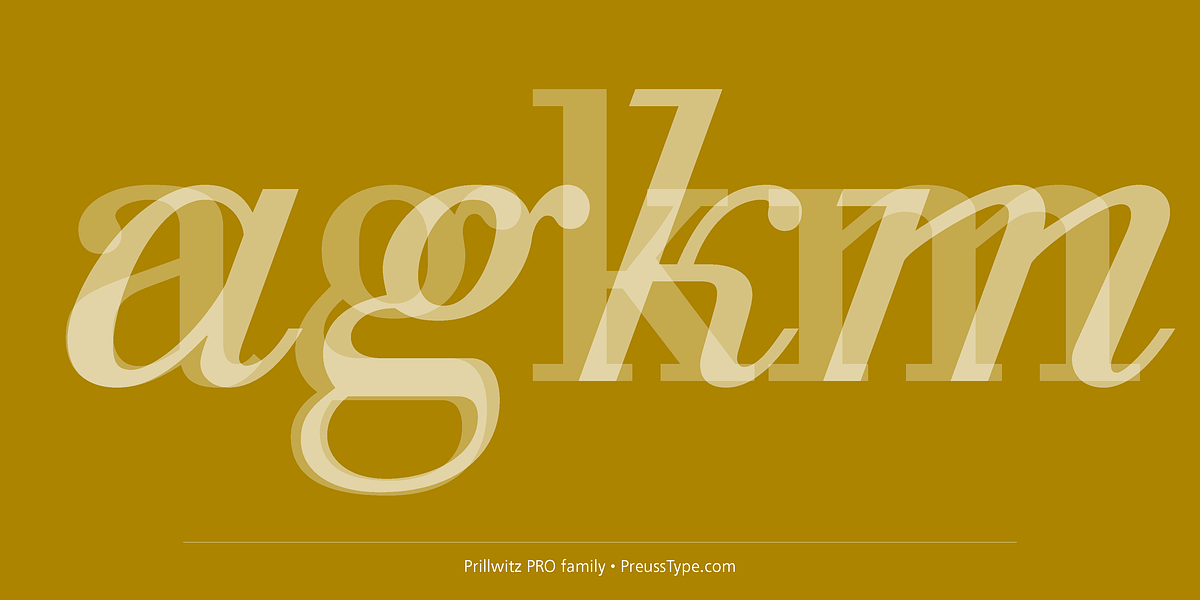 Prillwitz PRO, a Serif Font by preussTYPE (Photo 7 of 9)