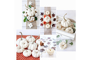 Fall Color Bundle Stock Photos, a Background Photo by SunnyTangerine Stock (Thumbnail 4 of 10)