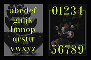 ACTU, a Serif Font by DYSA Studio (Thumbnail 3 of 12)