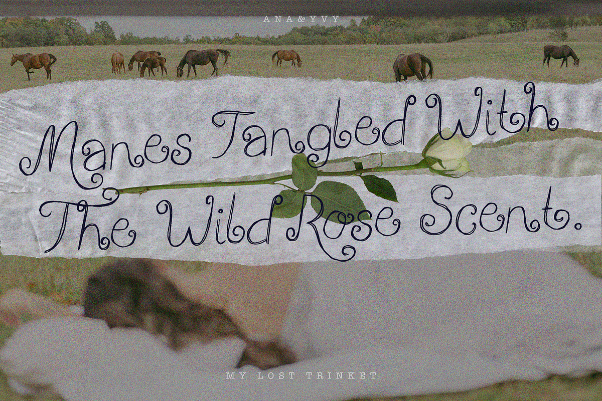 My Lost Trinket | Whimsy Curly Font, a Handwritten Font by ana & yvy (Photo 7 of 13)