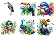 Tropical Bird Png, Jungle Birds png, an Illustration by Watercolor design (Thumbnail 3 of 4)