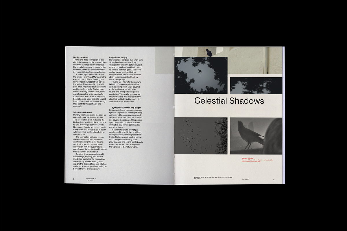 Spooky Modern Book Template 5.5"x7" preview 5