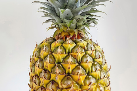 A vibrant, ripe pineapple isolated o, a Photo by LOGOCREATIVE