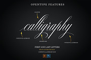 Nightingale, a Script Font by Teweka (Thumbnail 3 of 10)