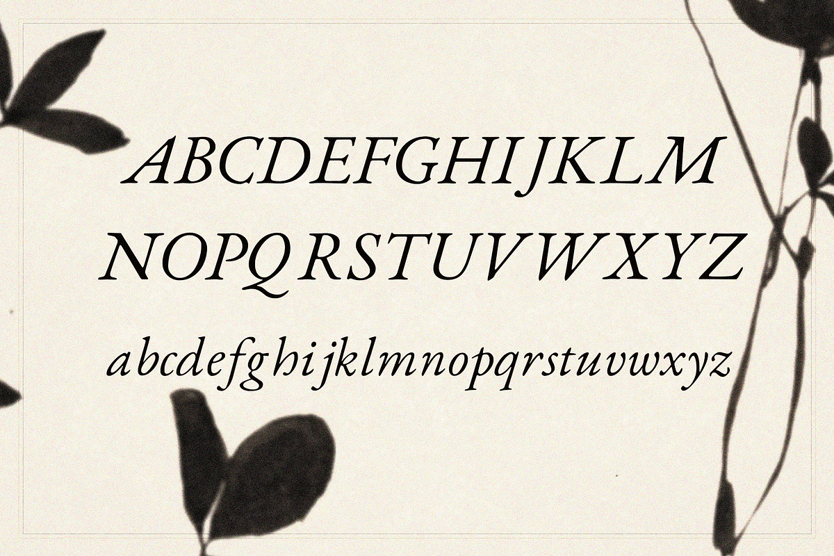 Hall Italic - Typeface, a Serif Font by Lilithcollageart (Photo 9 of 10)
