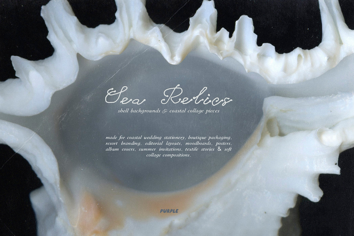 Sea Relics: Objects & Backgrounds, an Object Graphic by Purple (Photo 9 of 14)