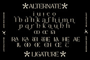 Molina Elegant Sans Serif, a Sans Serif Font by Luna Shop (Thumbnail 8 of 11)