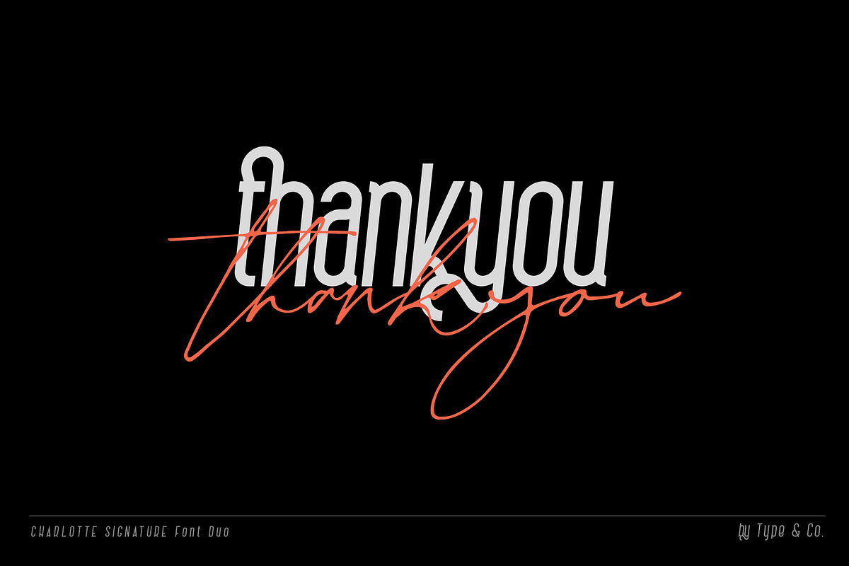 Charlotte Signature Font Duo, a Script Font by Type and Co. (Photo 18 of 18)