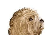Dogs Cross Breeds 56 Animals Bundle, an Animal Illustration by Dneprstock (Thumbnail 4 of 55)