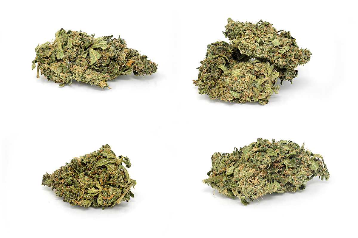 Cannabis marijuana weed photo pack, a Nature Photo by Kohl + Cole (Photo 4 of 6)