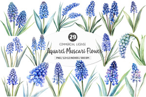 Watercolor Muscari Clip Art, an Illustration by SinaCreation