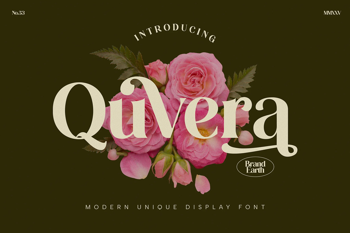 Quvera - Elegant Serif Display Font, a Serif Font by Brand Earth (Photo 1 of 7)