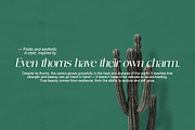 Novalisse, a Sans Serif Font by Pista Mova (Thumbnail 13 of 16)