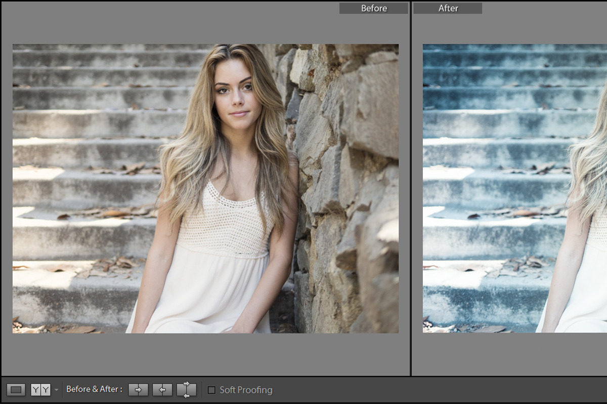 Cinematic Lightroom Preset By Cmsvec, a Plug-in Add-On by CMSvec (Photo 9 of 10)