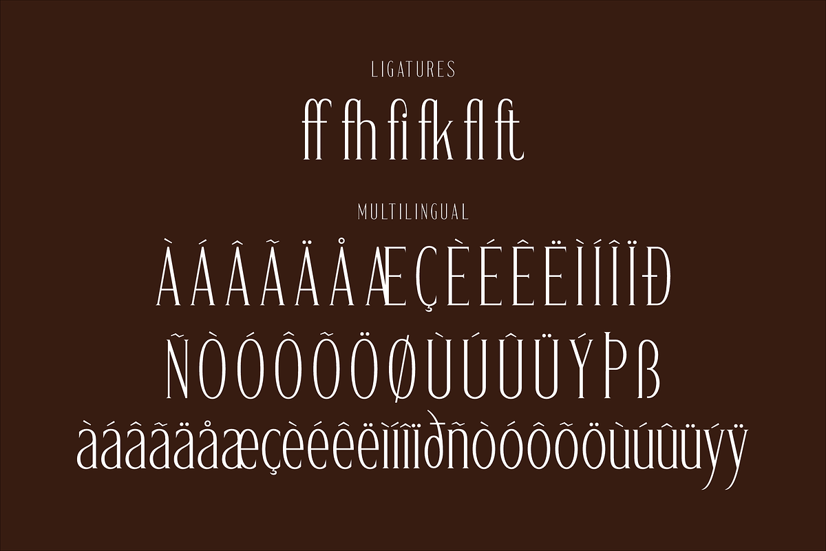 Gadnesh Meteora A Modern Serif, a Serif Font by Storytype Studio (Photo 14 of 15)