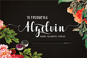 Alzelvin, a Script Font by danti (Thumbnail 1 of 7)