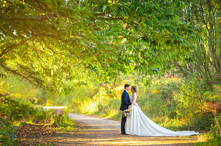 Just married couple on a green forest, a Person Photo by rubenchase