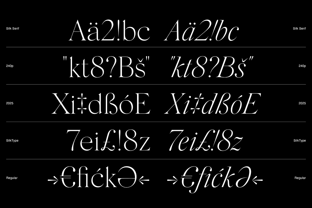 Silk Serif - 14 font family, a Serif Font by Silktype (Photo 5 of 17)