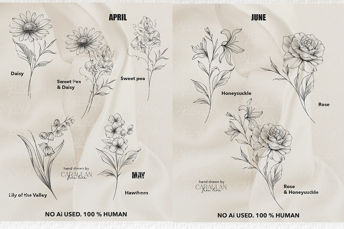 Birth flowers fine line (Half year), a Brush Add-On by CaraulanStore (Photo 3 of 5)