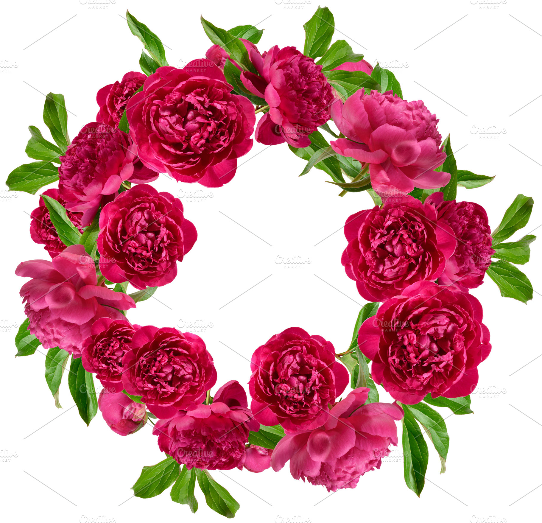 Round wreath of bright pink blossoming peonies and green leaves, a Nature Photo by ndanko
