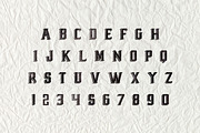 Layout - New Display Font, a Serif Font by Vintage Font Lab (Thumbnail 2 of 2)