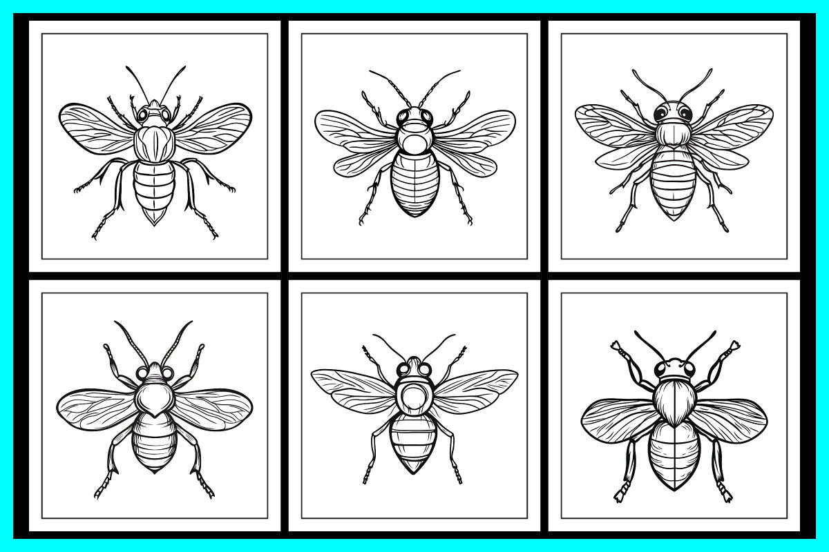 Insect Coloring Pages, an Animal Illustration by protabsorkar11 (Photo 4 of 5)