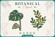 Boho Botanical Leaves Clipart Bundle, a Nature Photo by Actual Pixel (Thumbnail 14 of 21)