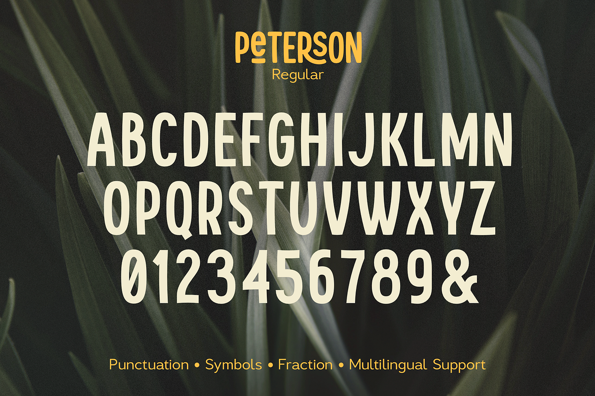 Peterson, a Sans Serif Font by Larin Type Co. (Photo 10 of 11)