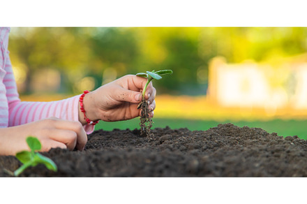 The child is planting a plant in the, a Nature Photo by yanadjana