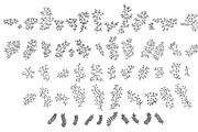 Hand Drawn Plant Elements, an Object Illustration by Does She Even Doodle (Thumbnail 3 of 5)