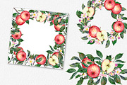 Hand drawn watercolor apple set, an Illustration by OlyaSenko (Thumbnail 4 of 4)