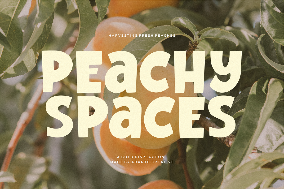 Galaxy Placebo, a Font by Shopifont.co (Photo 5 of 9)