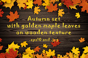 Wooden texture set with maple leaves, a Decorative Illustration by Vjom (Thumbnail 1 of 9)