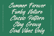 Heighaps Wastone Modern Brush Font, a Script Font by Letterena Studios Script (Thumbnail 9 of 20)