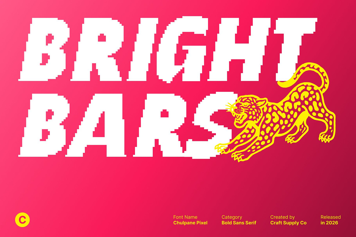 Chulpane Pixel, a Sans Serif Font by Craft Supply Co. (Photo 2 of 8)