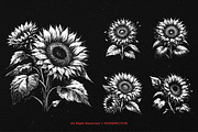 10 Bundle Dark Art Sun Flower, an Illustration by Morspective (Thumbnail 5 of 7)